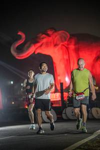 BIB: 
                            <button type="button" onclick="openModal(26531200)" class="btn btn-primary btn-sm float-right btn-popup" data-toggle="modal" data-target=".modal-high-quality">
                        <i class="fas fa-shopping-cart"></i> Add to Cart
                    </button>
                                            <button type="button" onclick="isThisMe(26531200, true)" class="btn btn-success btn-sm float-right btn-popup btn-isme hidden" data-toggle="tooltip" data-placement="bottom" title="นี่คือรูปของคุณใช่ไหม คลิกที่นี่เพื่อเอาเข้าอัลบั้ม">
                        <i class="fas fa-plus"></i> Add to album
                    </button>
                    <button type="button" onclick="isThisMe(26531200, false)" class="btn btn-warning btn-sm float-right btn-popup btn-isnotme hidden">
                        <i class="fas fa-ban"></i> Remove from album
                    </button>